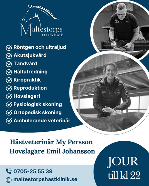 Maltestorp Hästklinik