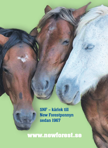 Svenska New Forestföreningen